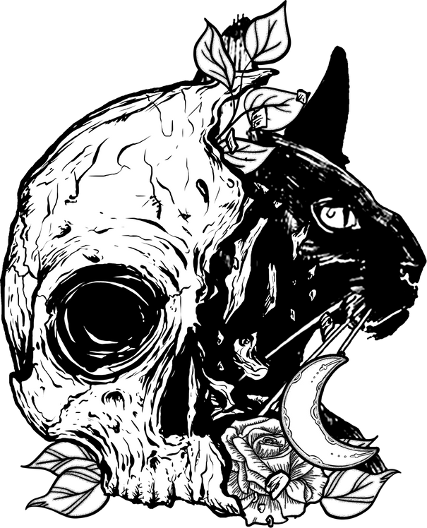 Black Cat Skull Halloween